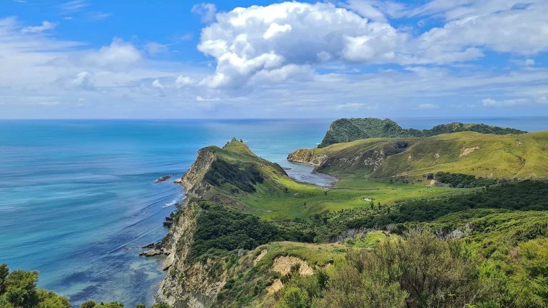 Cooks Cove Tolaga Bay