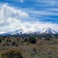 Ohakune Your Gateway To Adventure