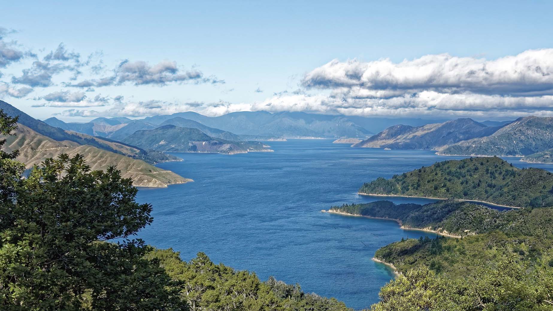 Fitzroy bay Great Barrier Island New Zealand