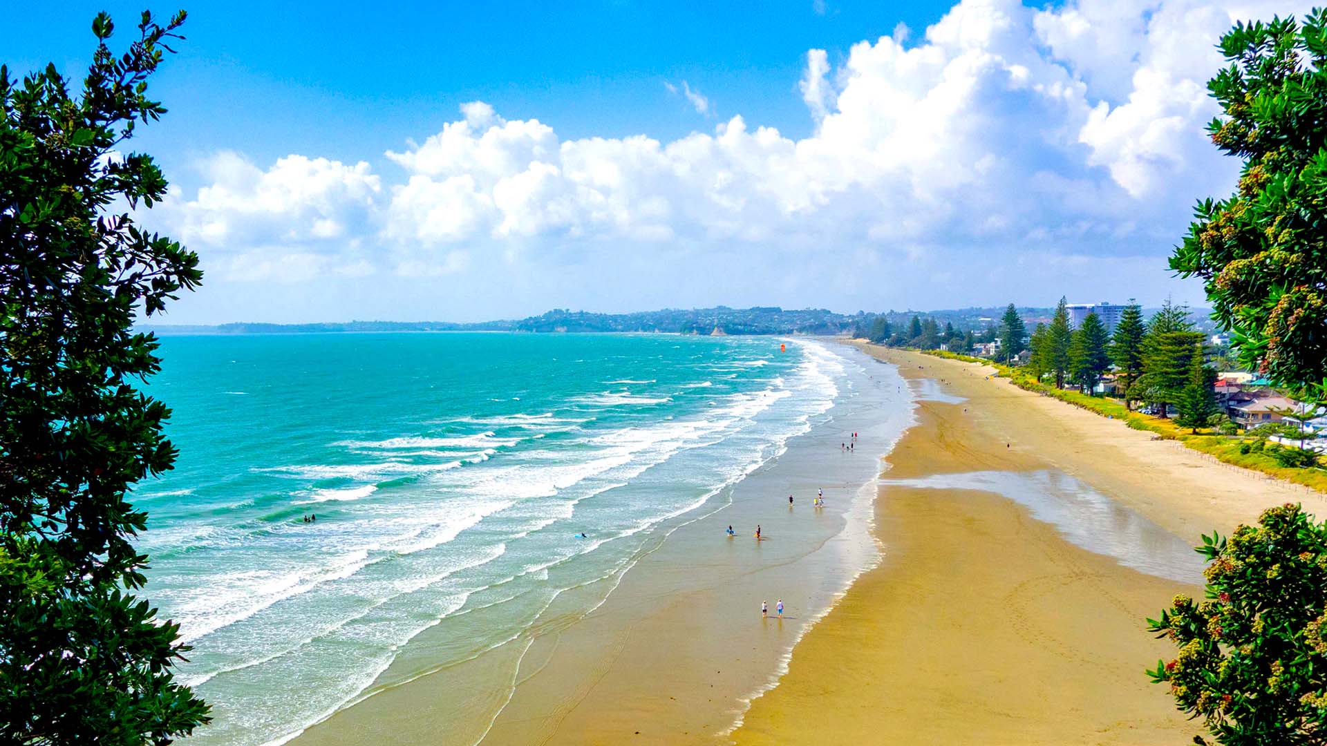 Hibiscus Coast Auckland New Zealand