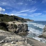 Muriwai Regional Park New Zealand
