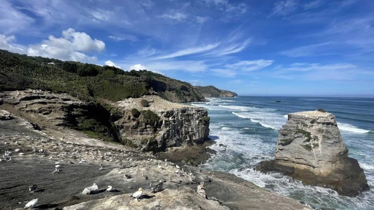 Muriwai Regional Park New Zealand