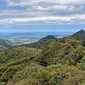 The Majestic Beauty of Mount Pirongia