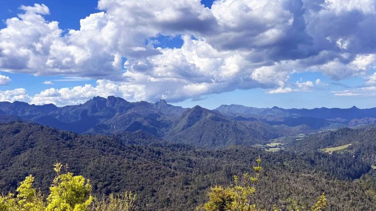 Coromandel Forest Park