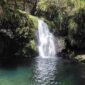 Whataroa Falls Bay Of Plenty 85x85
